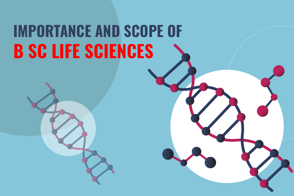 Importance and scope of B Sc Life Sciences
